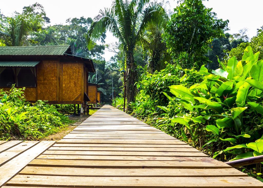 Amazon Planet 호텔 Tambopata 외부 사진
