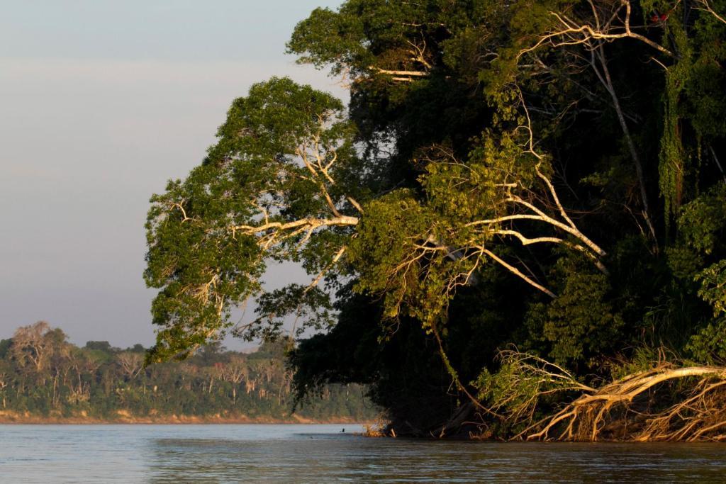 Amazon Planet 호텔 Tambopata 외부 사진